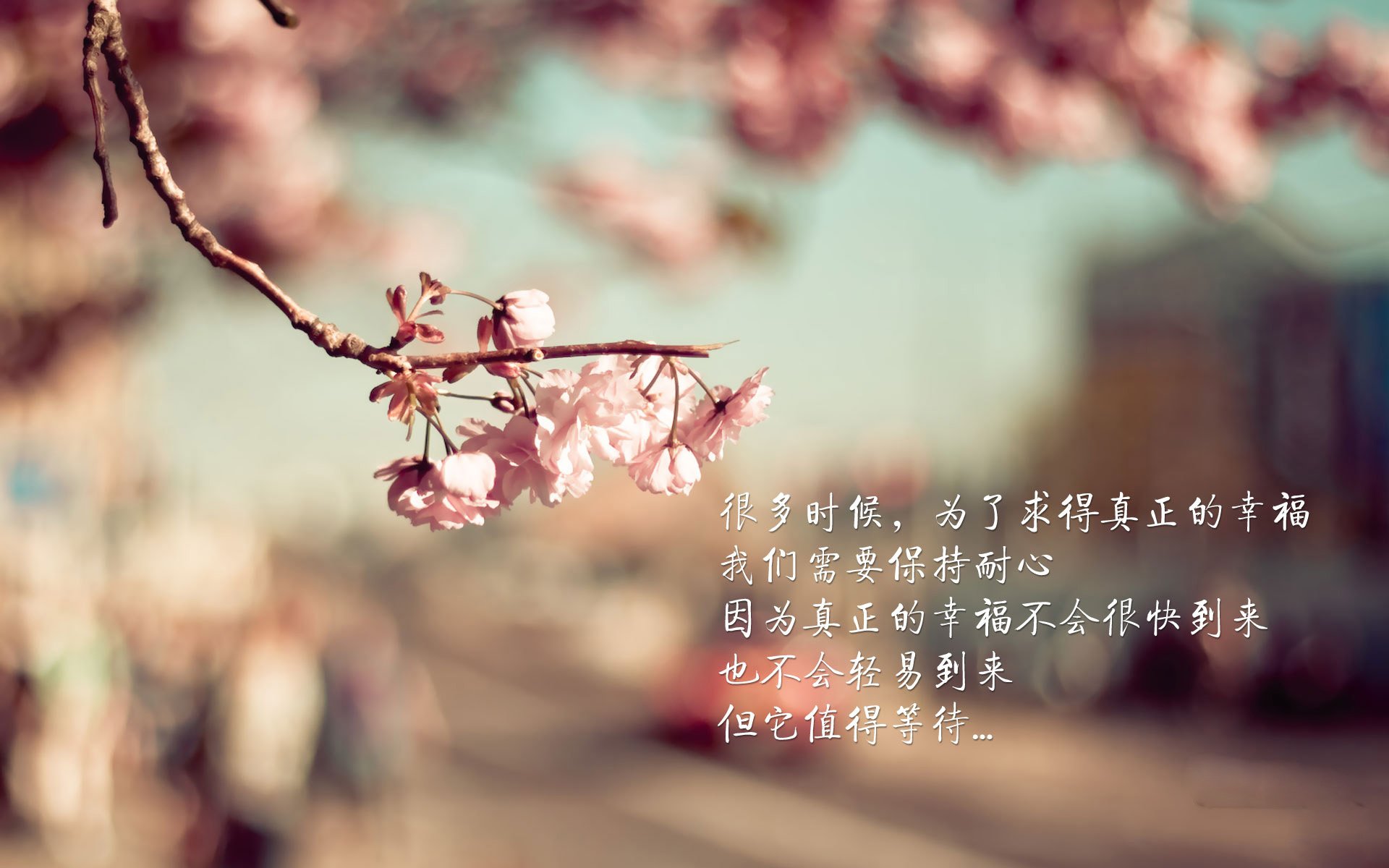 圣克拉拉俱乐部历史性地晋级欧洲协会联赛，创造佳绩。，圣克拉拉在哪里