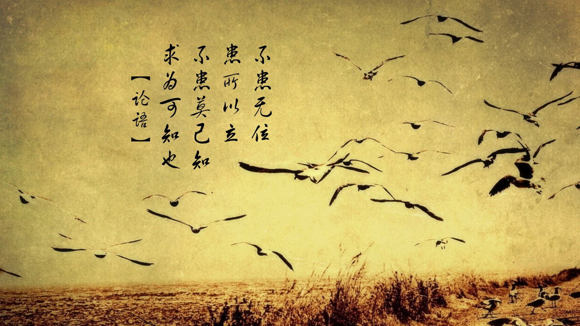 战术套路：深度解码联盟最强战术体系，战术联队