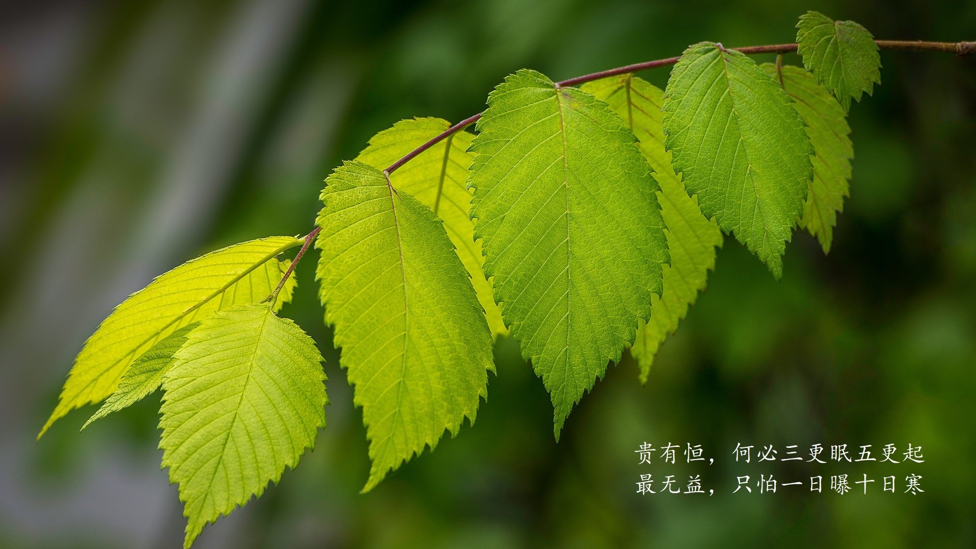 九游（jiuyou.com）游戏-CS_GO美国高校联赛激战正酣，cs 美国大学