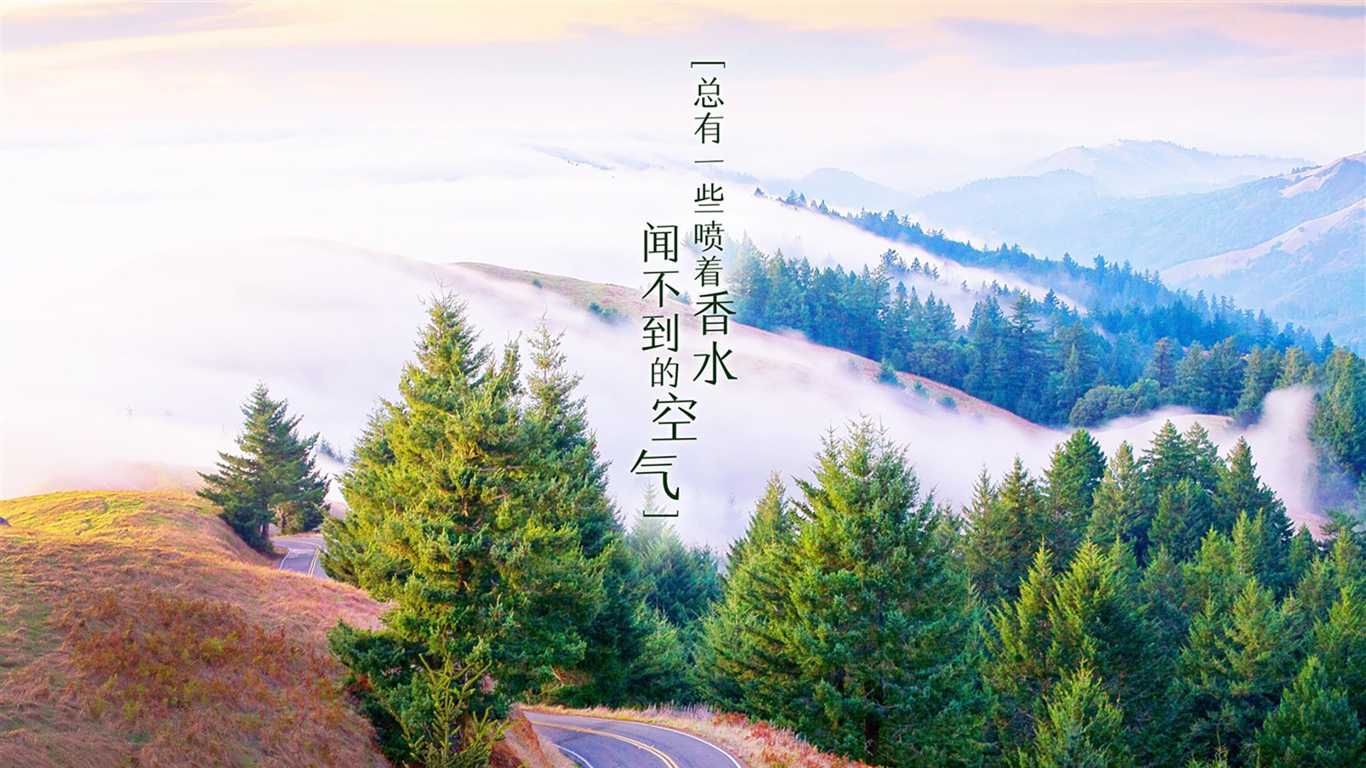 凯尔特人后程发力轻取灰熊，凯尔特人对灰熊比分