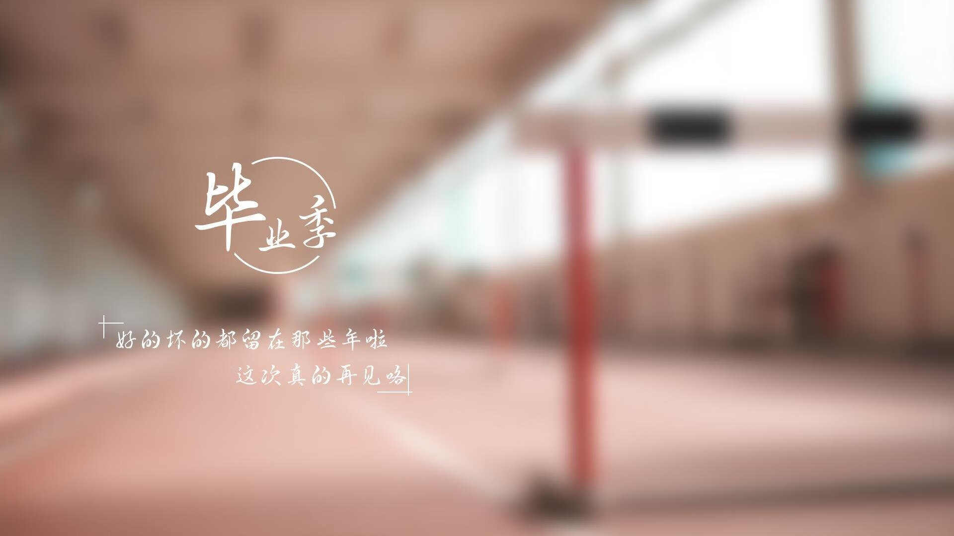 里昂主帅接受访谈，剖析战术布局与策略调整，里昂著名球员