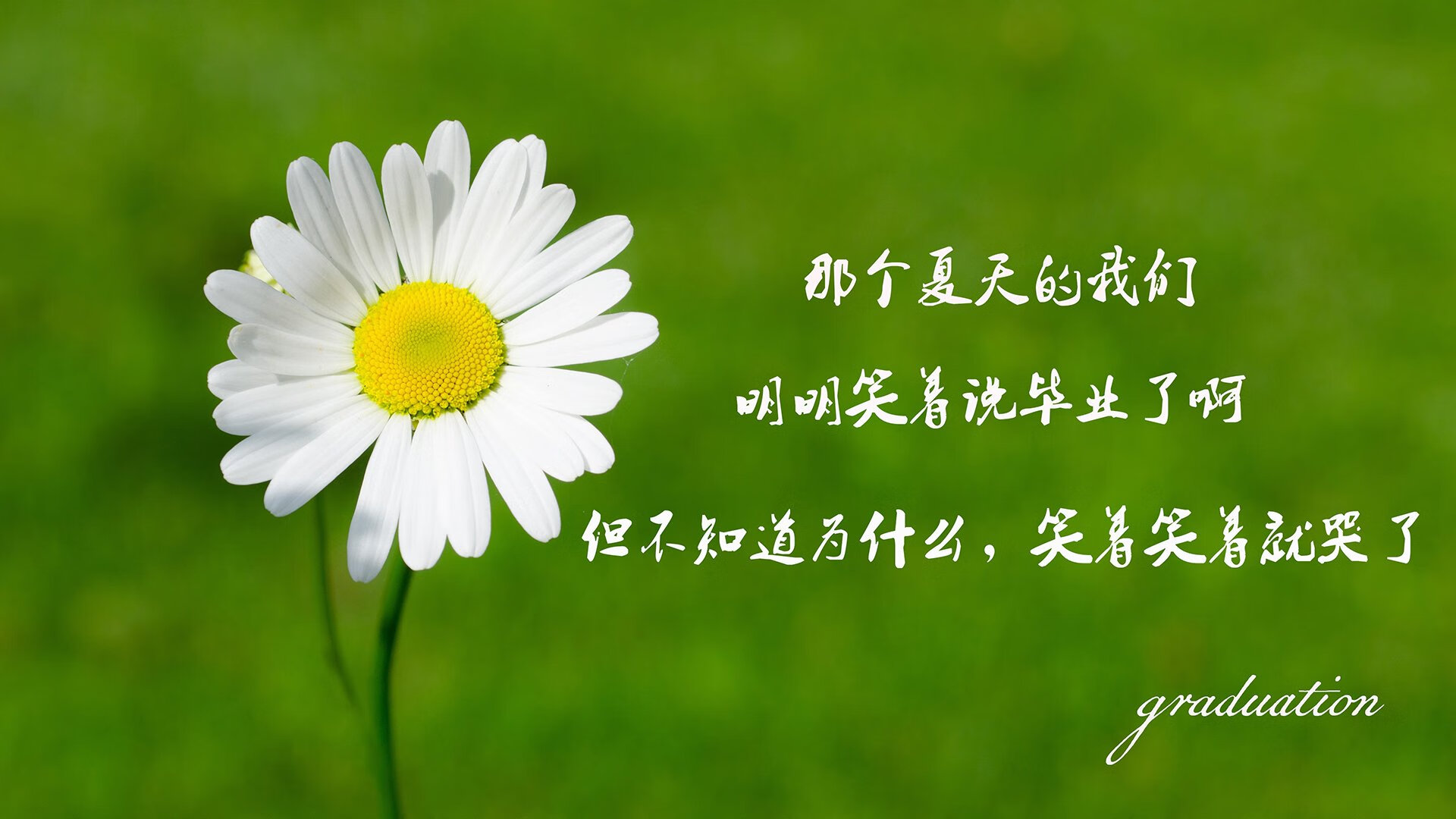 英超比赛中裁判吹罚尺度对战术执行的微观影响，足球裁判吹一场比赛多少钱