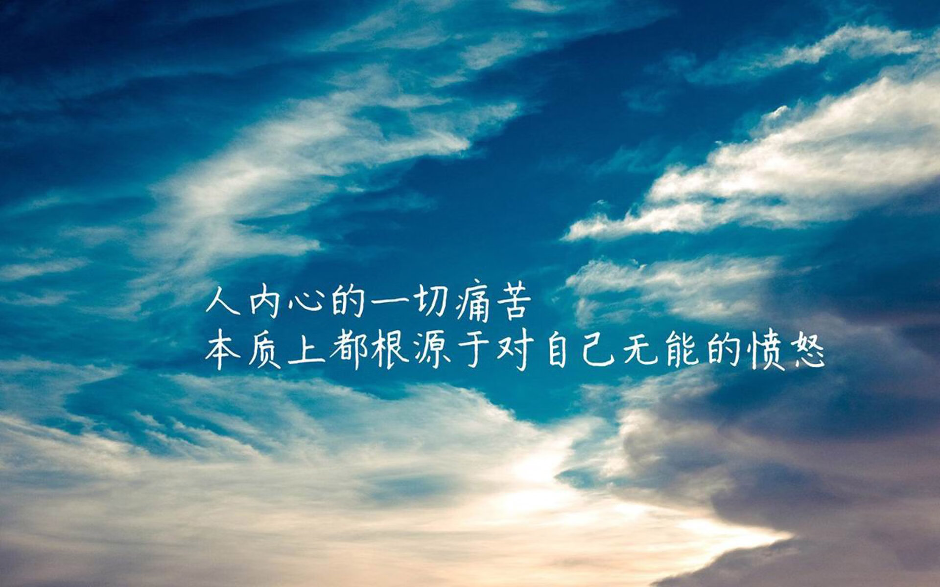 国际乒联混合团体世界杯：德国队备战与赛制详解，德国乒乓球世锦赛