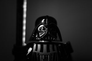 九游下载安装-“南非羚羊队的秘密武器：萨尔·巴赫的崛起”