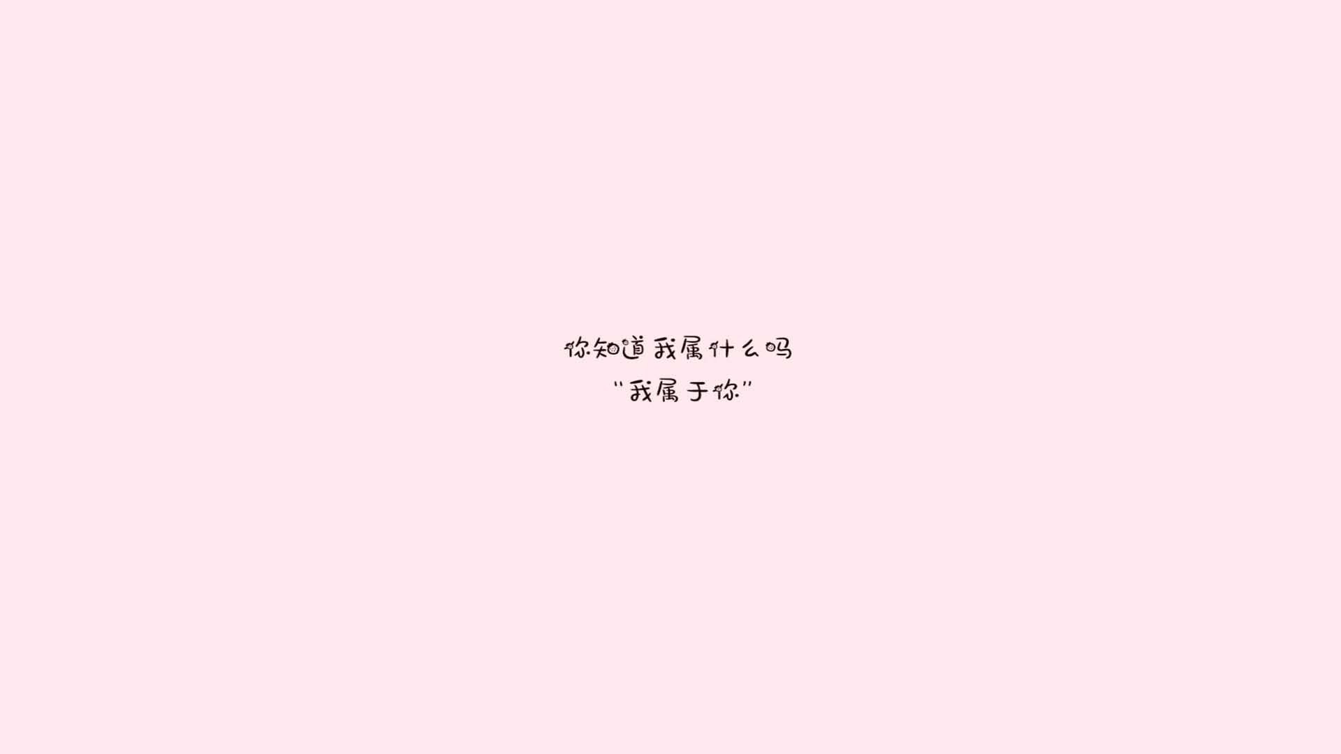 “南非羚羊队的秘密武器：萨尔·巴赫的崛起”