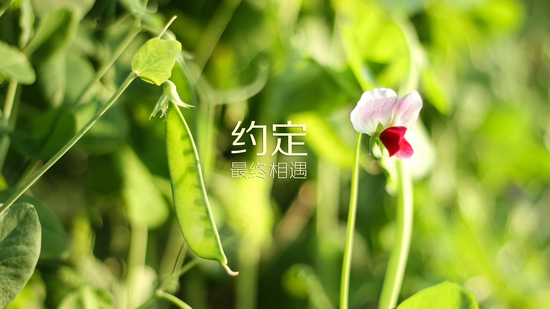 JIU YOU GAME-体育科研院校合作项目启动仪式举行，体育科研机构